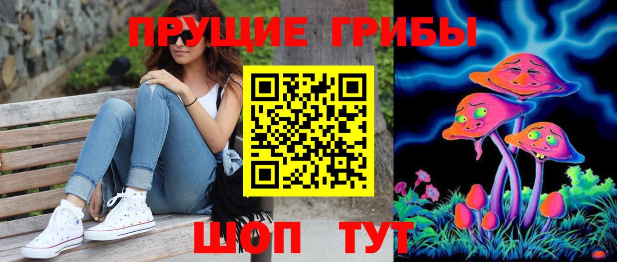 Псилоцибиновые грибы Psilocybine cubensis Кубинка