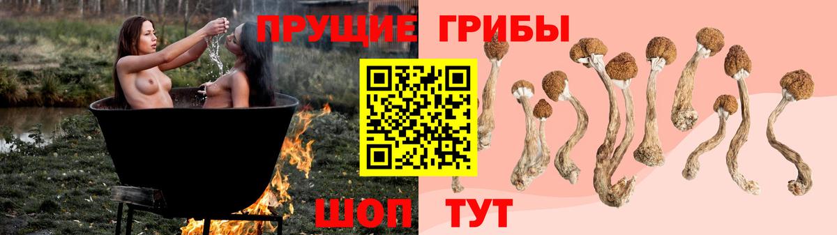 Галлюциногенные грибы Psilocybine cubensis  Вход с VPN  закладки  Кубинка 